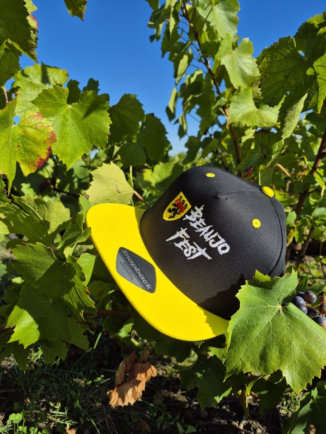 NOUVEAU Casquette